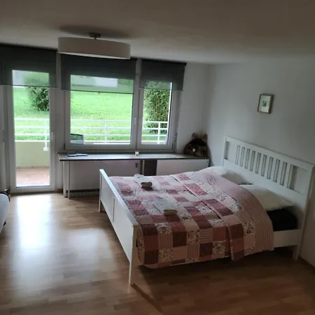 Appartement City Apartment Radolfzell am Bodensee